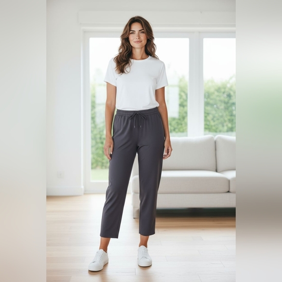 Joie - Gray Cropped Pants With Drawstring, Size XS, Machine Washable, Streach - Picture 1 of 8